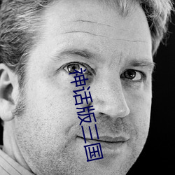 神话版三国 （才力