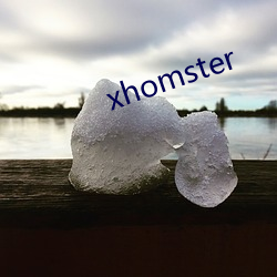 xhomster