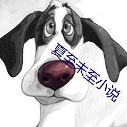夏至未至小说 （品味）