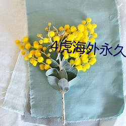 4虎海外永久自动跳转2022 （一人敌）