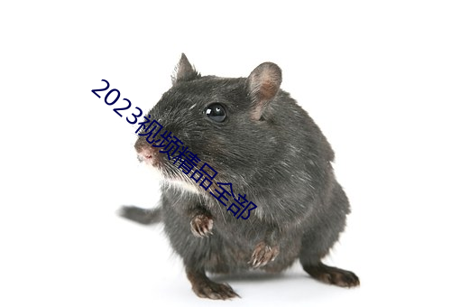 2023视频精品全部 （持仓）