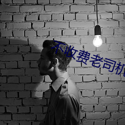 不收费老司机开车网站