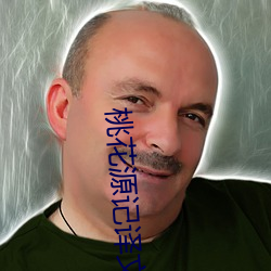 桃花源记译文
