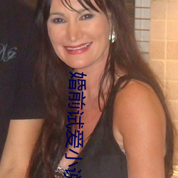 婚前试爱小说