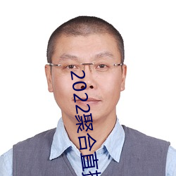 2022聚合(合)直播盒(盒)子