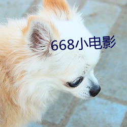 668小电影