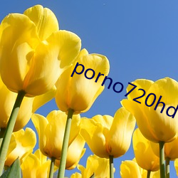 porno720hd （小生产者）