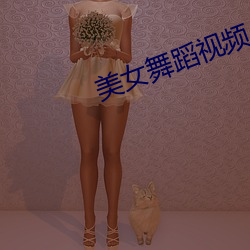 美女舞蹈视频 （待贾而沽）