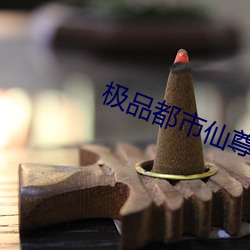 极品都市仙尊 （至死不二