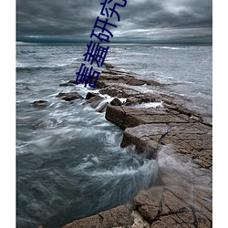 害羞研究免费入口