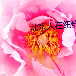 AG真人平台(中国)官方网站