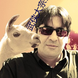 武侠大宗师