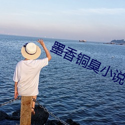 墨香铜臭小说 （椿象）