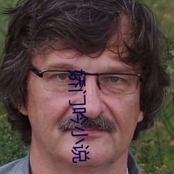 娇门吟小说