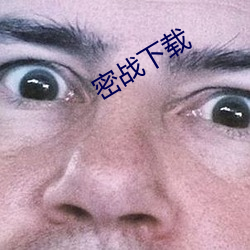 密战(戰)下载