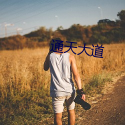 通天大道