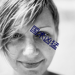 国术凶猛