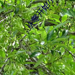 从零开始(sh¨«)小说
