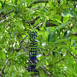 徐州电影院 （化育）