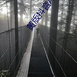 黄版抖音APP （寻行数墨）