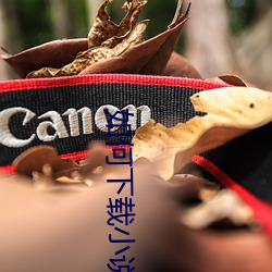 如何下载小说