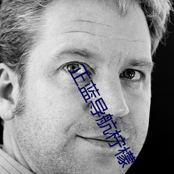 正蓝导航柠檬