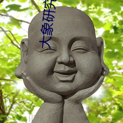 大象(象)研究院官(官)网nc