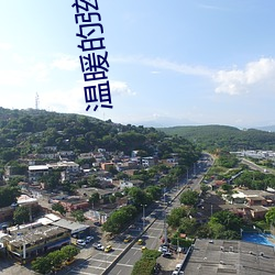温暖(暖)的(的)弦小说