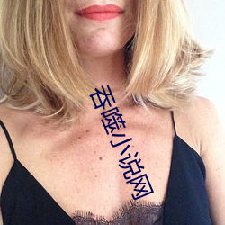 吞噬(shì)小说(shuō)网