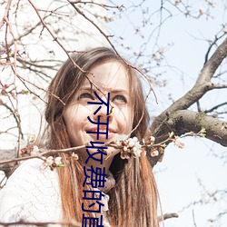 不開收費的直播軟件