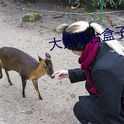 大秀平台盒子