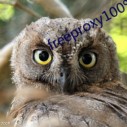 freeproxy100% （月夕花朝）