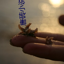 唐砖小(xiǎo)说