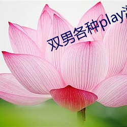 双男(男)种种(種)play润(潤)滑(滑)剂车文(文)