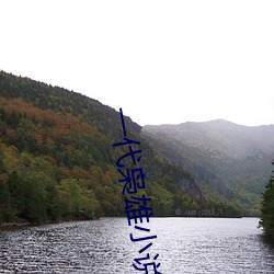 一代枭雄小说 戏曲）