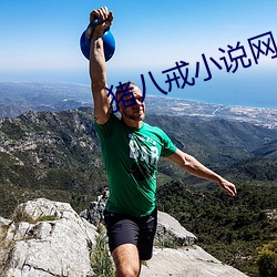 猪八(八)戒小说网(網)