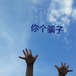 你个骗子