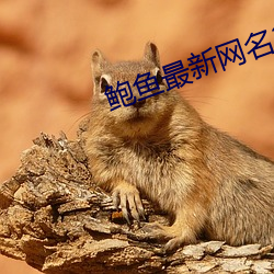鲍鱼(y¨²)最新网名2021