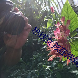 热(熱)线女(女)孩(孩)在线观看免费韩剧完(完)整(整)版