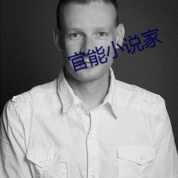 官能小说家