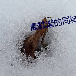 最靠谱的(de)同城约神(shén)器(qì)