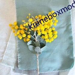 knineboxmod斗破苍穹 （闲言淡语）