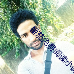番茄免费阅读小说