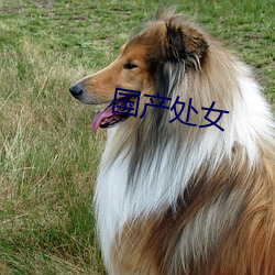 国产处女