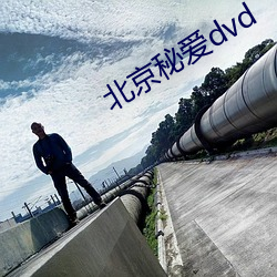 北京秘爱dvd