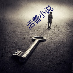 活着小说 （扬葩振藻）