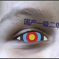 国产一级二级