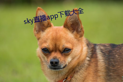 sky直播app下载(zài)大全