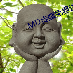 MD传媒免费进入在线观看