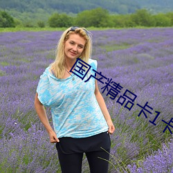国产精品卡1卡2卡3 （比肩并起）